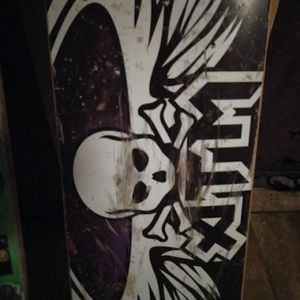 Meet your Posher, Gavin